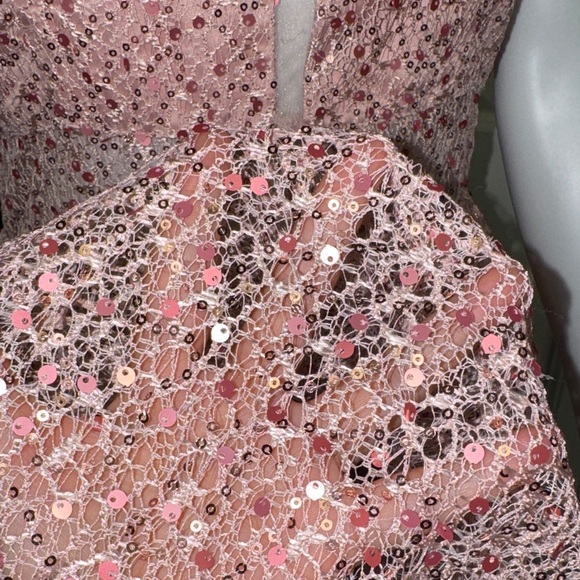 Sparkling Pink Mini Dress - Picture 7 of 10